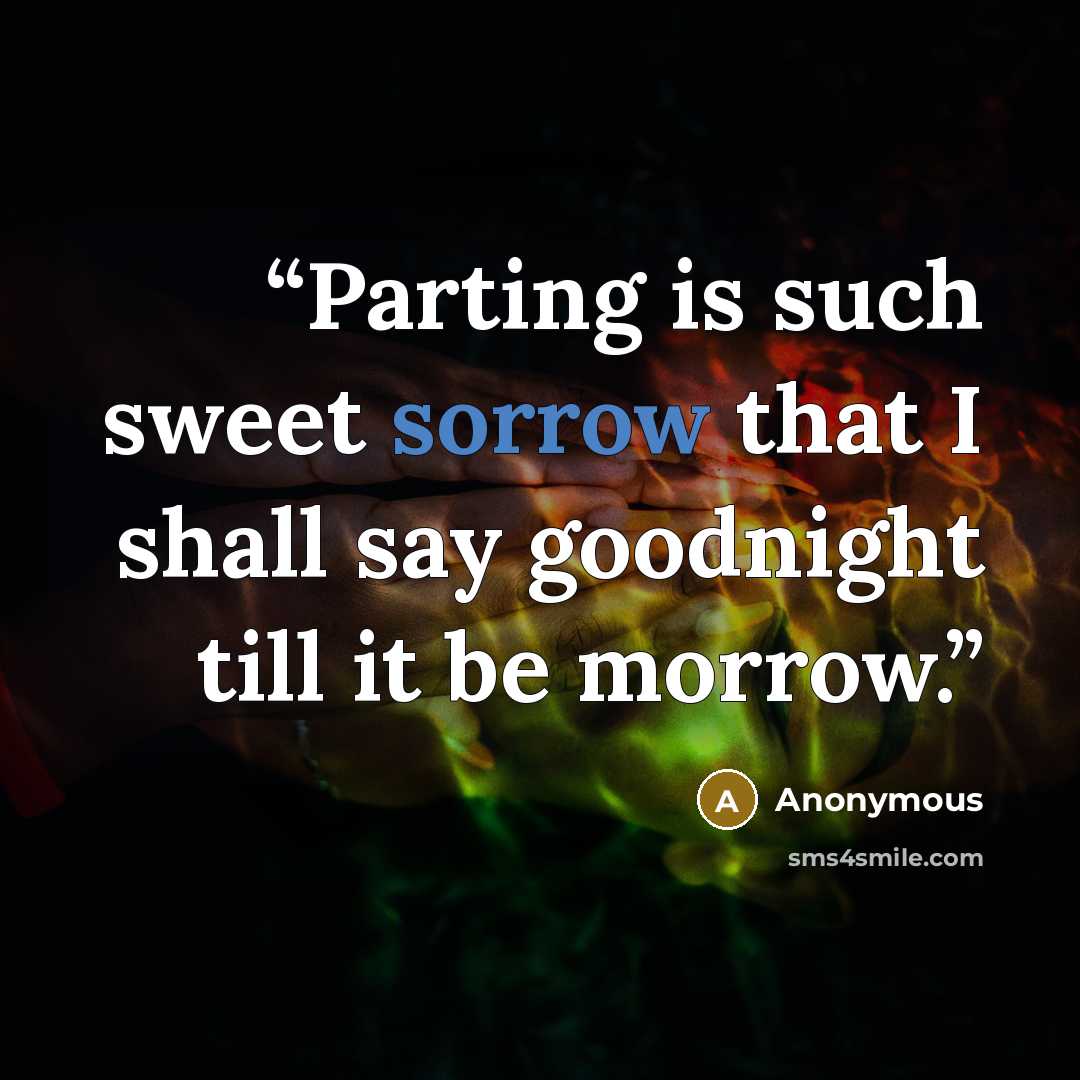 “Parting is such sweet sorrow that I shall say goodnight till it be morrow.” quote by Anonymous