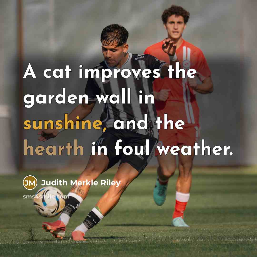 “A cat improves the garden wall in sunshine, and the hearth in foul weather.” quote by Judith Merkle Riley