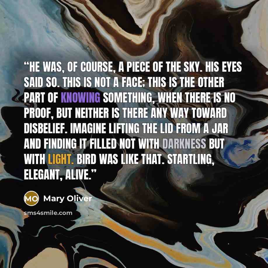 “He was, of course, a piece of the sky. His eyes said so. This is not a face; this is the other part of knowing something, when there is no proof, but neither is there any way toward disbelief. Imagine lifting the lid from a jar and finding it filled not with darkness but with light. Bird was like…” quote by Mary Oliver