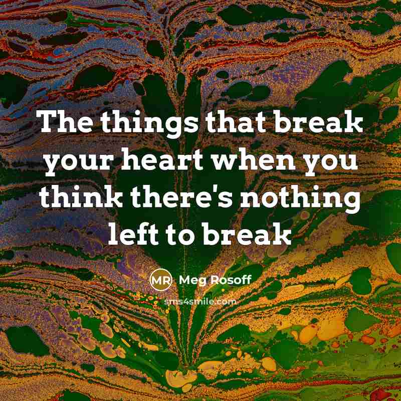“The things that break your heart when you think there's nothing left to break” quote by Meg Rosoff