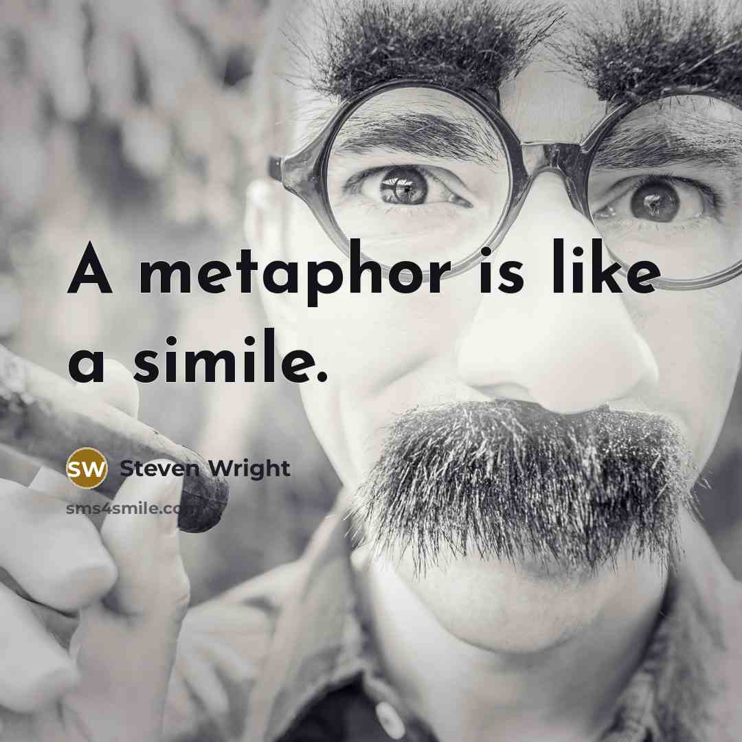 “A metaphor is like a simile.” quote by Steven Wright