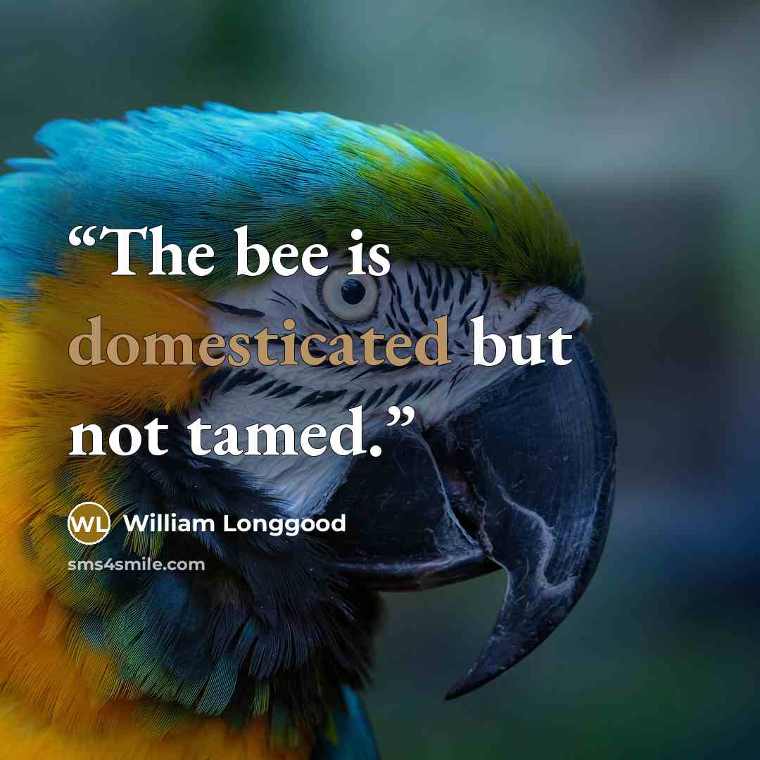 “The bee is domesticated but not tamed.” quote by William Longgood