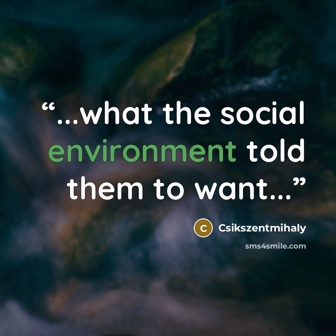 “...what the social environment told them to want...” quote by Csikszentmihaly
