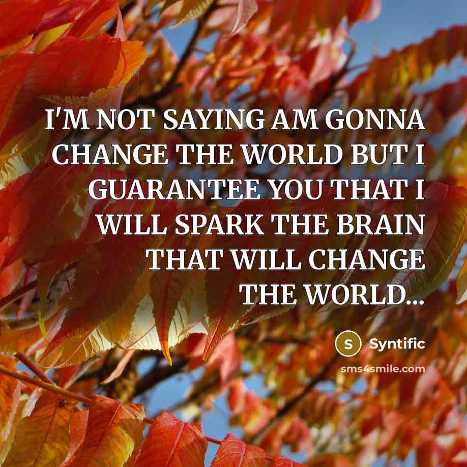 “I'M NOT SAYING AM GONNA CHANGE THE WORLD BUT I GUARANTEE YOU THAT I WILL SPARK THE BRAIN THAT WILL CHANGE THE WORLD...” quote by Syntific