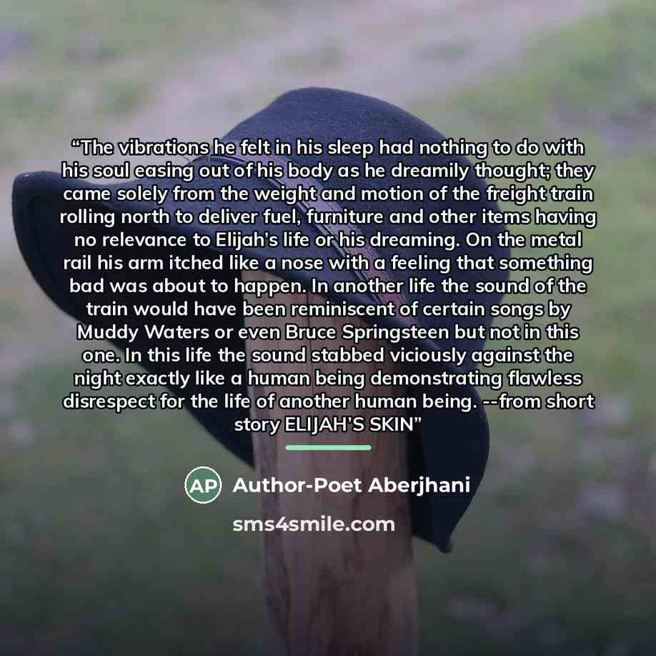 “The vibrations he felt in his sleep had nothing to do with his soul easing out of his body as he dreamily thought; they came solely from the weight and motion of the freight train rolling north to deliver fuel, furniture and other items having no relevance to Elijah’s life or his dreaming. On the…” quote by Author-Poet Aberjhani