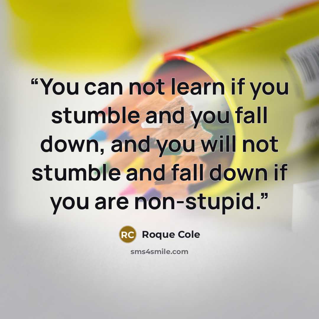 “You can not learn if you stumble and you fall down, and you will not stumble and fall down if you are non-stupid.” quote by Roque Cole