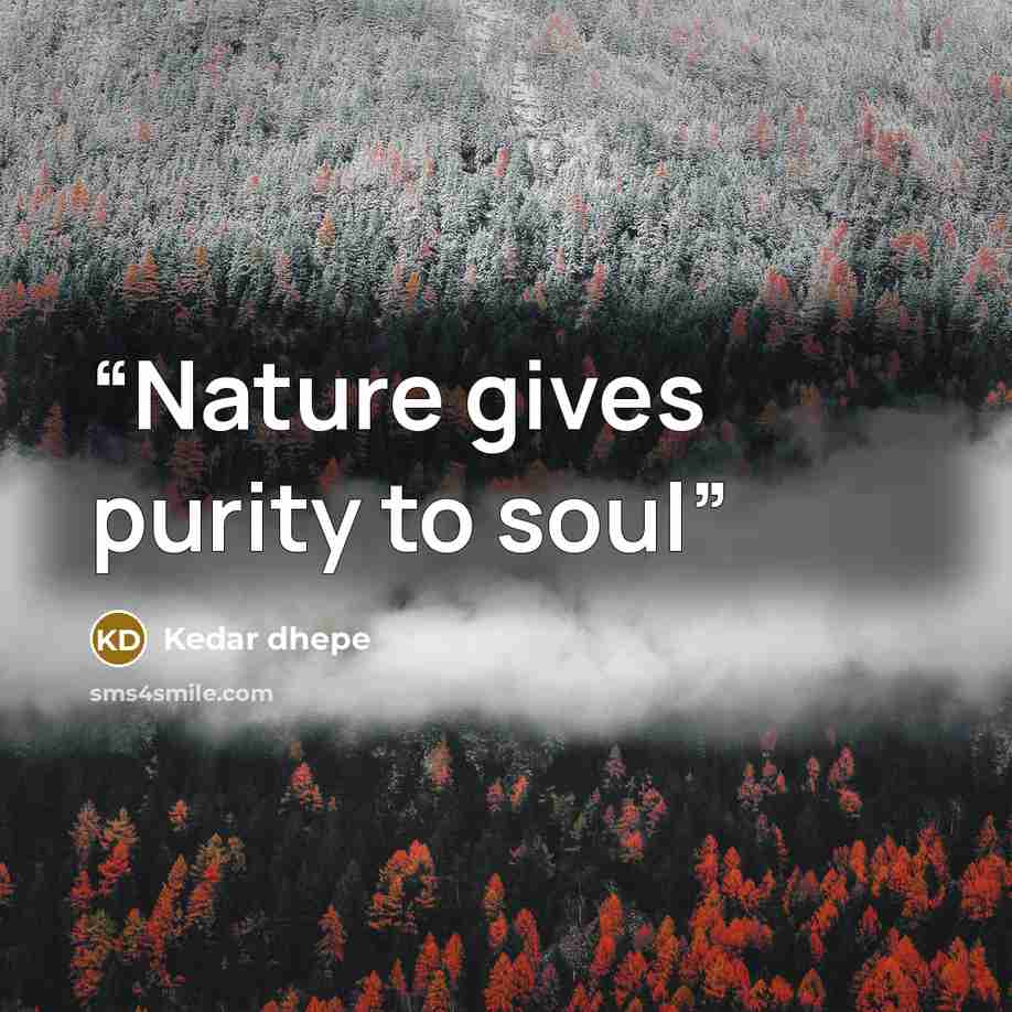 “Nature gives purity to soul” quote by Kedar dhepe