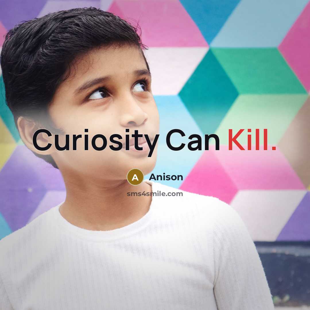 “Curiosity Can Kill.” quote by Anison