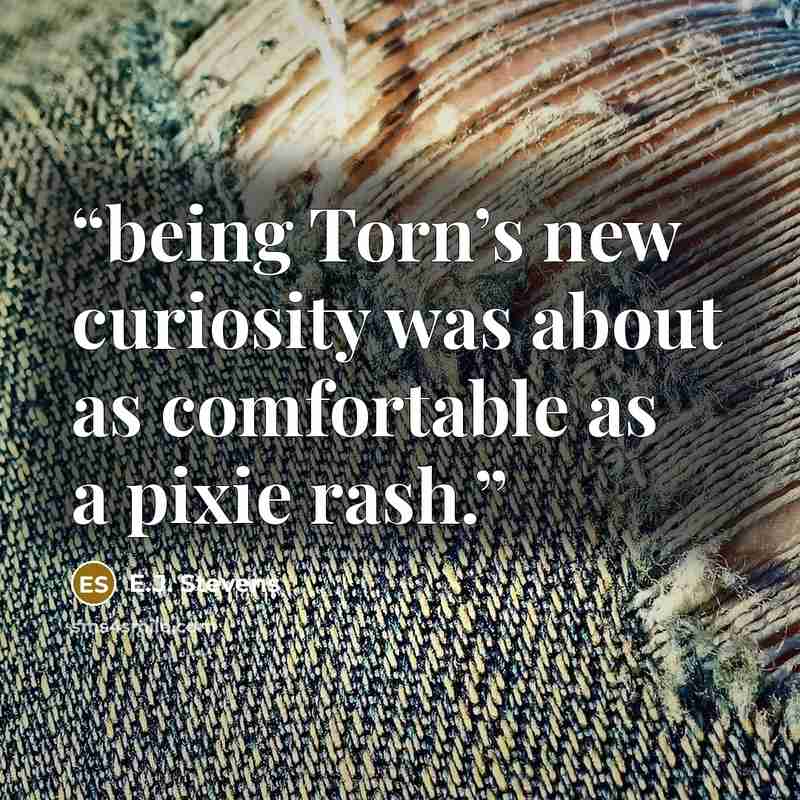 “being Torn’s new curiosity was about as comfortable as a pixie rash.” quote by E.J. Stevens