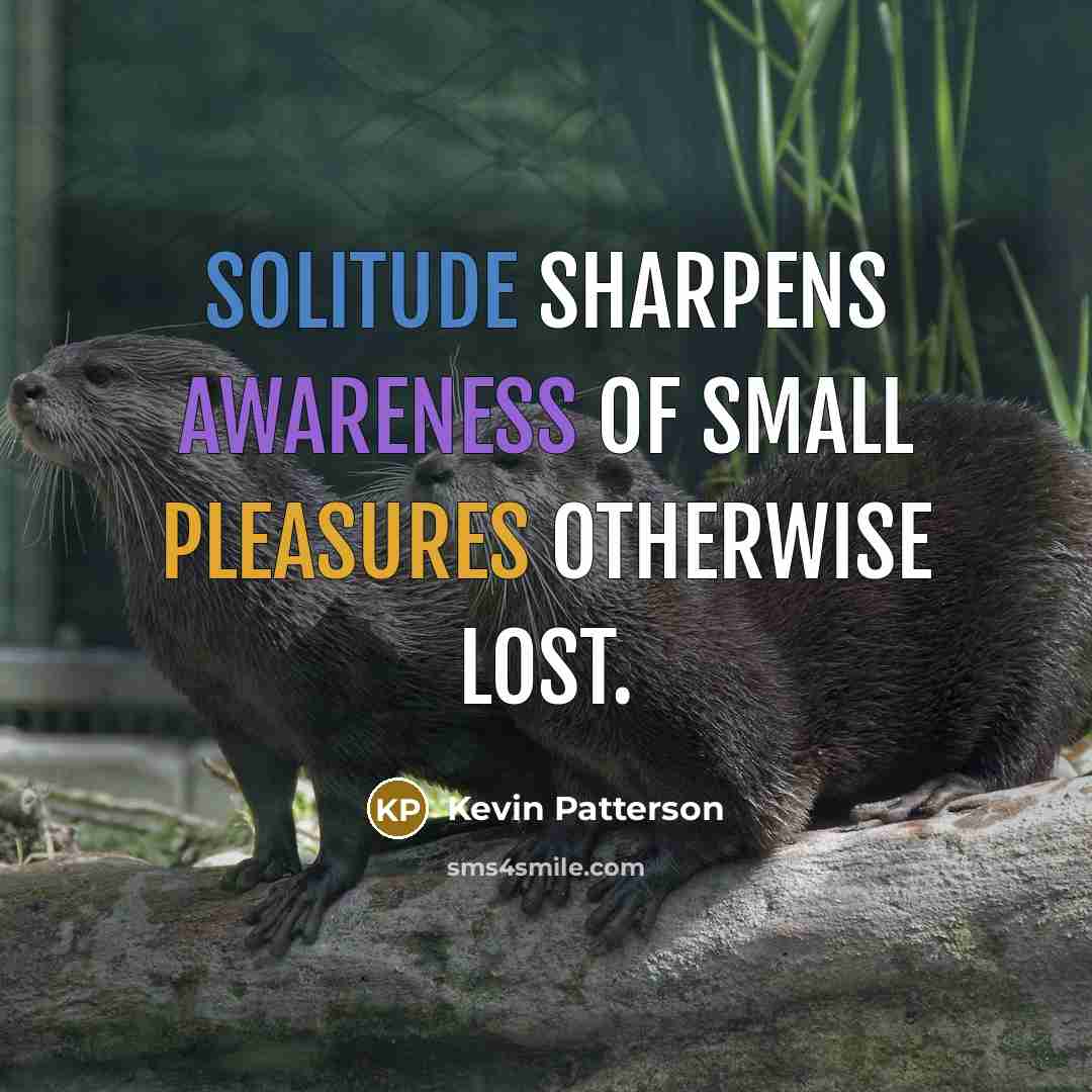 “Solitude sharpens awareness of small pleasures otherwise lost.” quote by Kevin Patterson