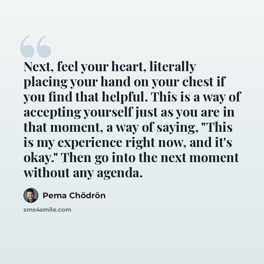 “Next, feel your heart, literally placing your hand on your chest if you find that helpful. This is a way of accepting yourself just as you are in that moment, a way of saying, "This is my experience right now, and it's okay." Then go into the next moment without any agenda.” quote by Pema Chodron