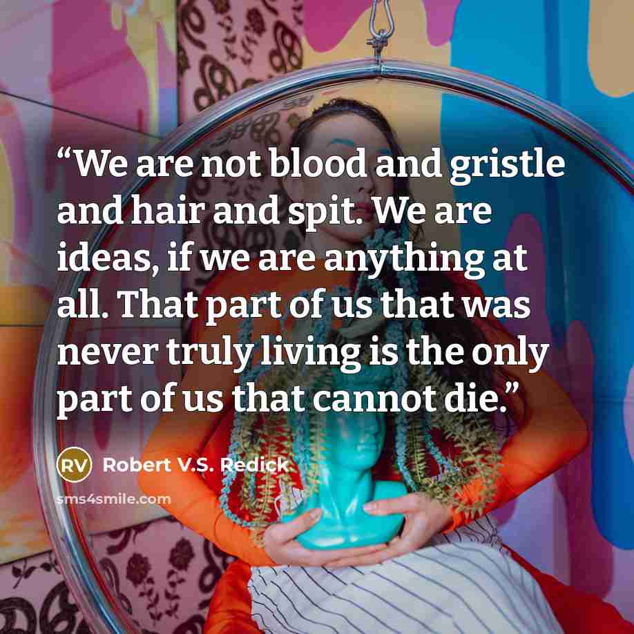 “We are not blood and gristle and hair and spit. We are ideas, if we are anything at all. That part of us that was never truly living is the only part of us that cannot die.” quote by Robert V.S. Redick