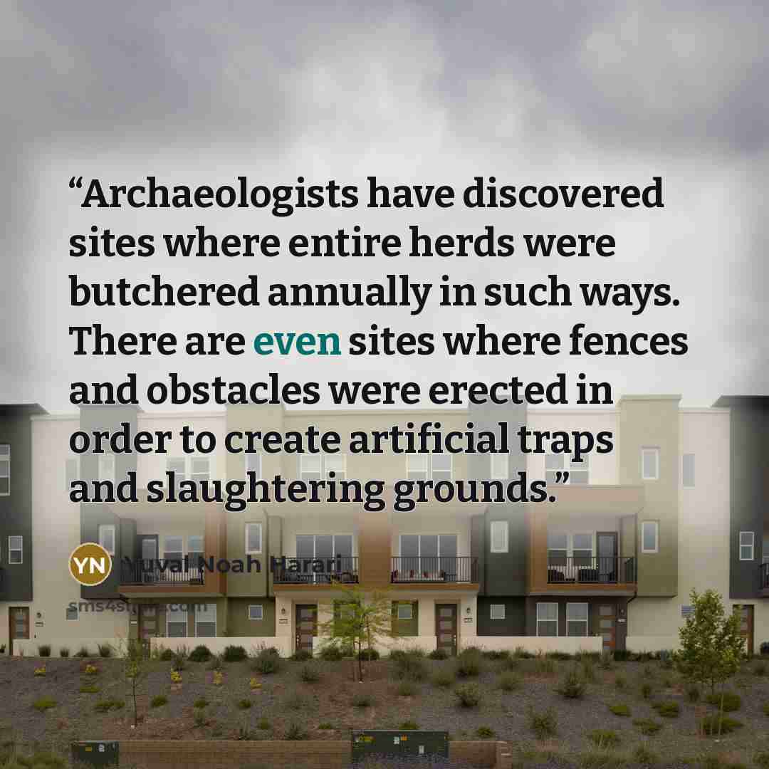 “Archaeologists have discovered sites where entire herds were butchered annually in such ways. There are even sites where fences and obstacles were erected in order to create artificial traps and slaughtering grounds.” quote by Yuval Noah Harari