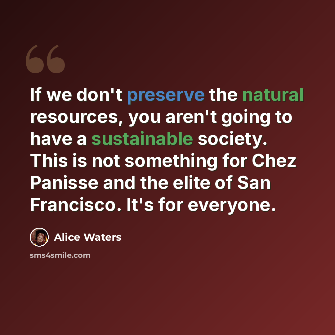 “If we don't preserve the natural resources, you aren't going to have a sustainable society. This is not something for Chez Panisse and the elite of San Francisco. It's for everyone.” quote by Alice Waters