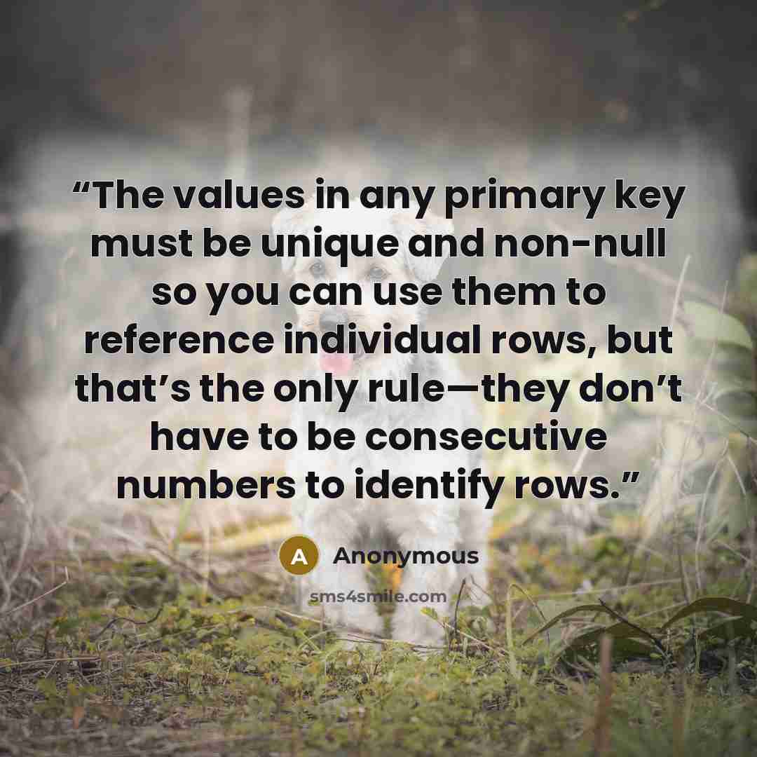 “The values in any primary key must be unique and non-null so you can use them to reference individual rows, but that’s the only rule—they don’t have to be consecutive numbers to identify rows.” quote by Anonymous