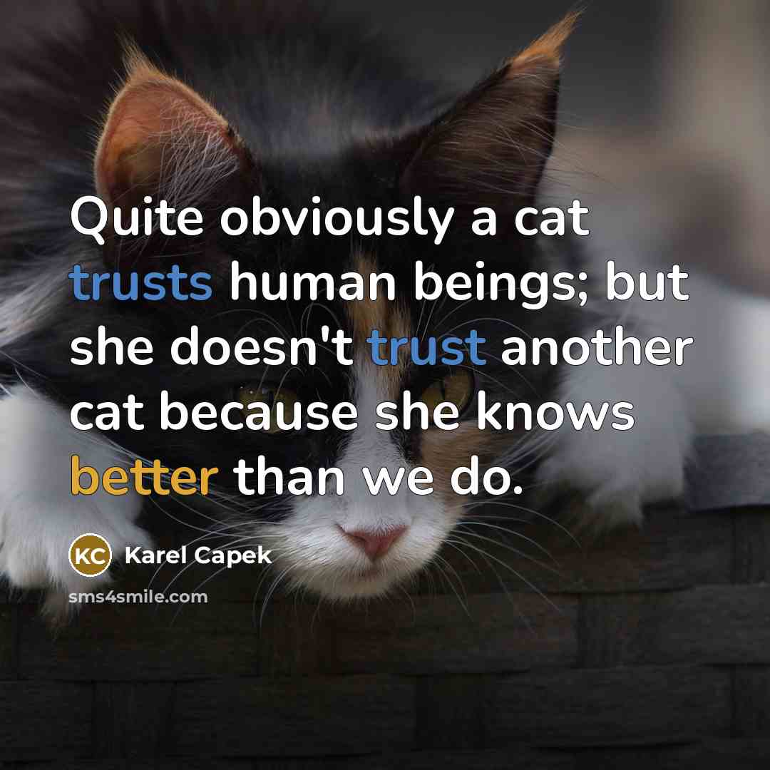 “Quite obviously a cat trusts human beings; but she doesn't trust another cat because she knows better than we do.” quote by Karel Capek