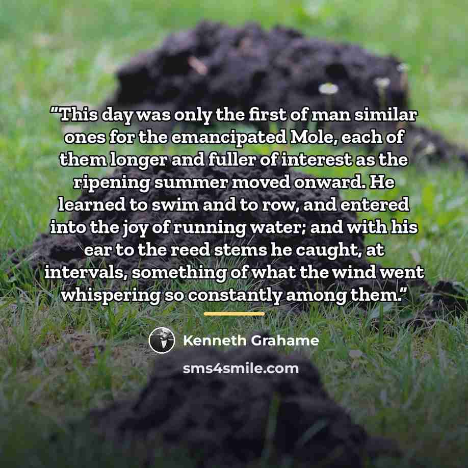 “This day was only the first of man similar ones for the emancipated Mole, each of them longer and fuller of interest as the ripening summer moved onward. He learned to swim and to row, and entered into the joy of running water; and with his ear to the reed stems he caught, at intervals, something…” quote by Kenneth Grahame