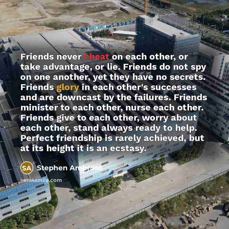 “Friends never cheat on each other, or take advantage, or lie. Friends do not spy on one another, yet they have no secrets. Friends glory in each other's successes and are downcast by the failures. Friends minister to each other, nurse each other. Friends give to each other, worry about each other…” quote by Stephen Ambrose