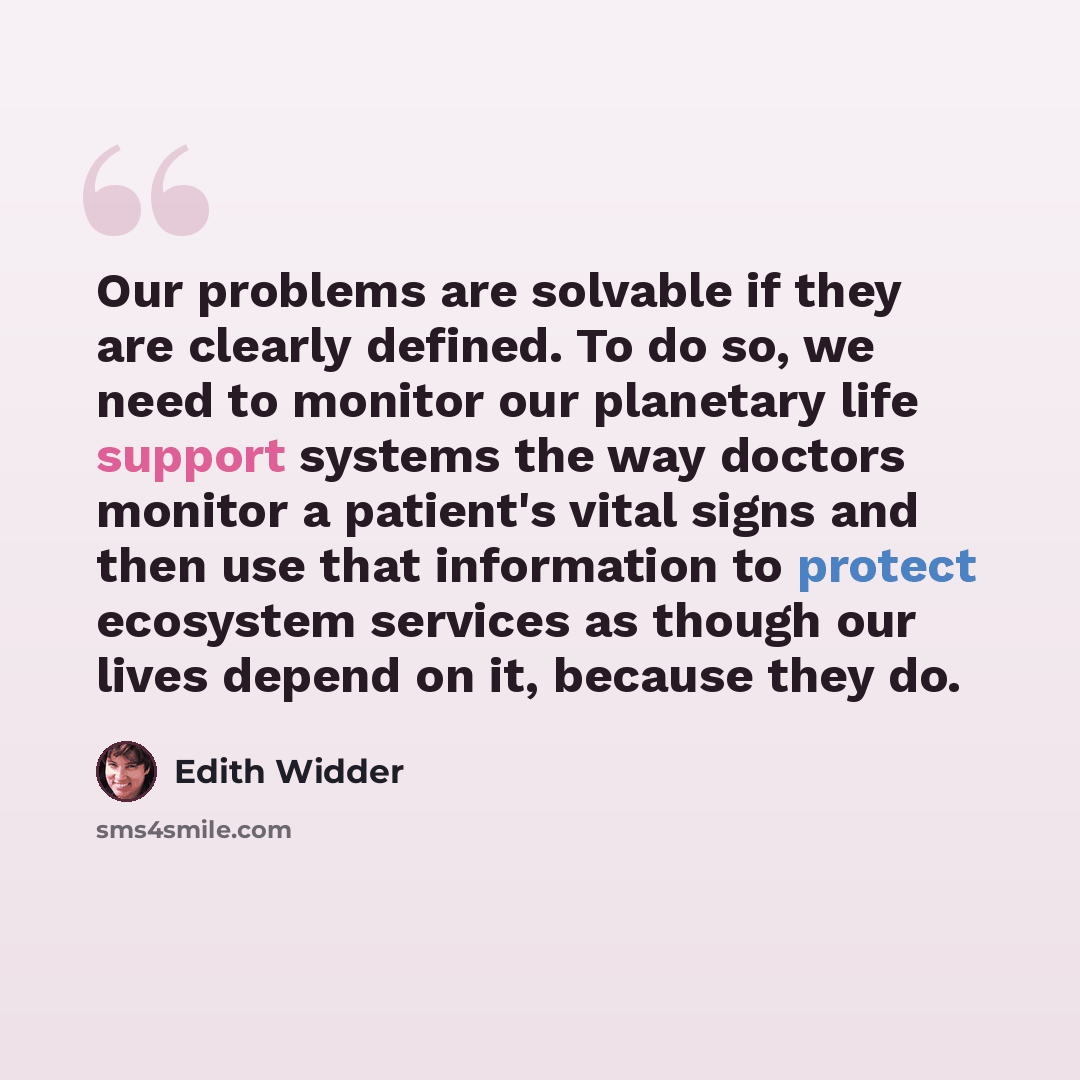 “Our problems are solvable if they are clearly defined. To do so, we need to monitor our planetary life support systems the way doctors monitor a patient's vital signs and then use that information to protect ecosystem services as though our lives depend on it, because they do.” quote by Edith Widder