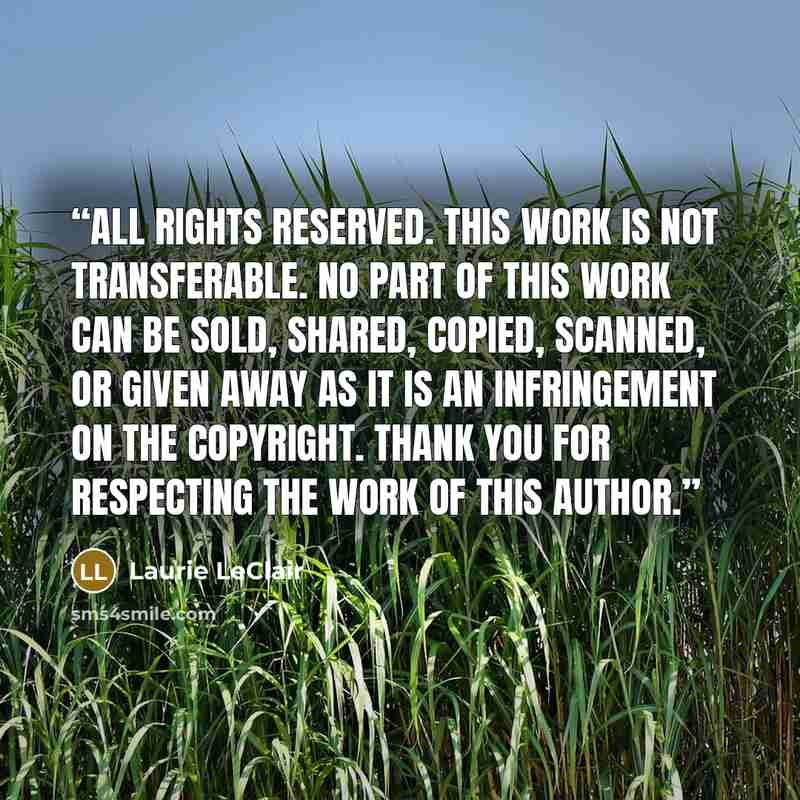 “All rights reserved. This work is not transferable. No part of this work can be sold, shared, copied, scanned, or given away as it is an infringement on the copyright. Thank you for respecting the work of this author.” quote by Laurie LeClair