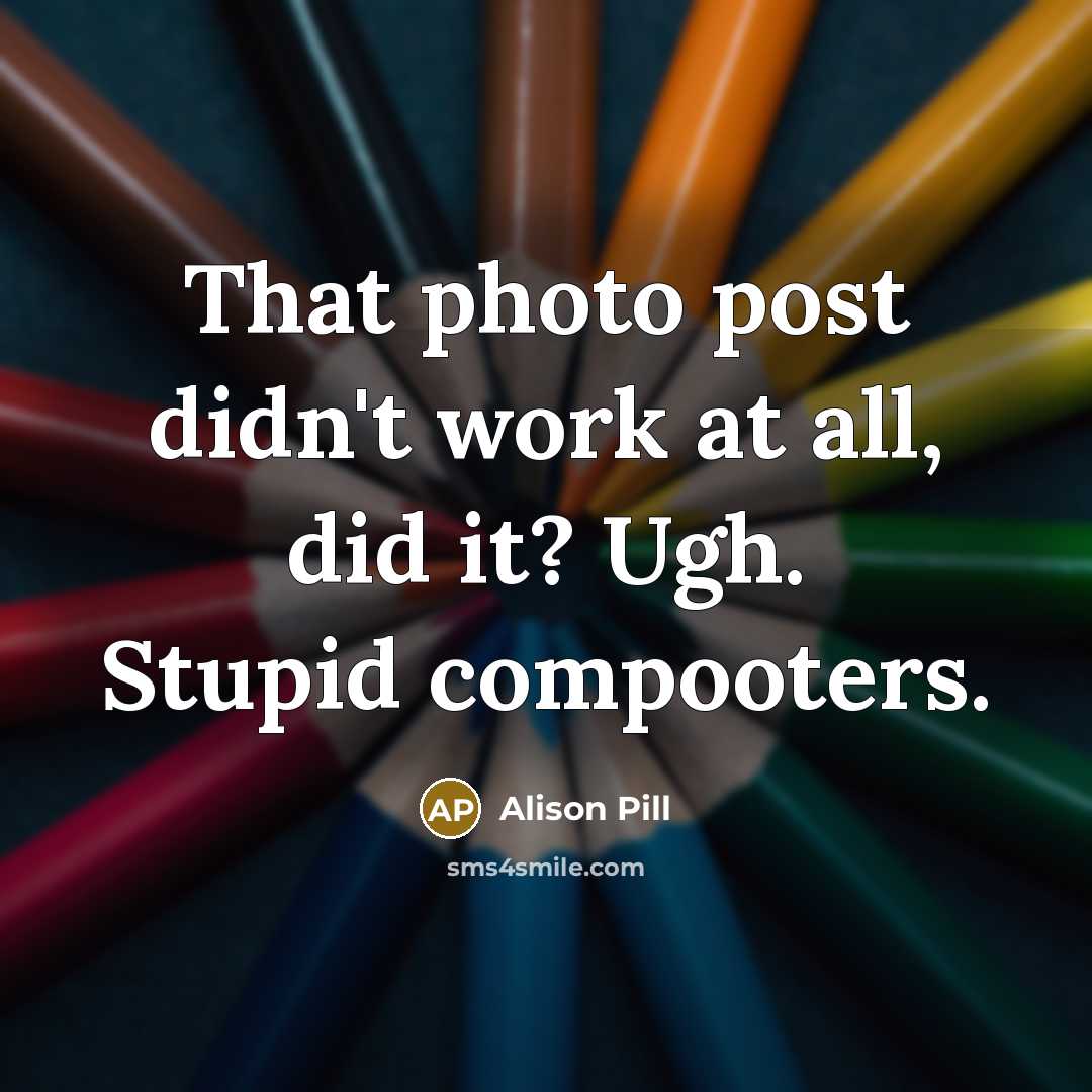“That photo post didn't work at all, did it? Ugh. Stupid compooters.” quote by Alison Pill