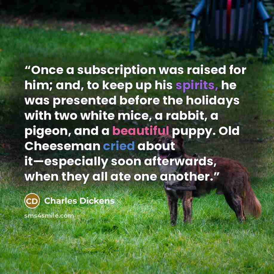 “Once a subscription was raised for him; and, to keep up his spirits, he was presented before the holidays with two white mice, a rabbit, a pigeon, and a beautiful puppy. Old Cheeseman cried about it—especially soon afterwards, when they all ate one another.” quote by Charles Dickens