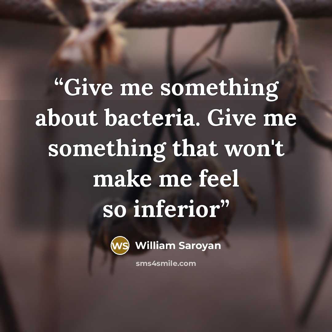 “Give me something about bacteria. Give me something that won't make me feel so inferior” quote by William Saroyan