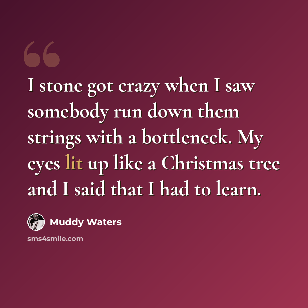 “I stone got crazy when I saw somebody run down them strings with a bottleneck. My eyes lit up like a Christmas tree and I said that I had to learn.” quote by Muddy Waters