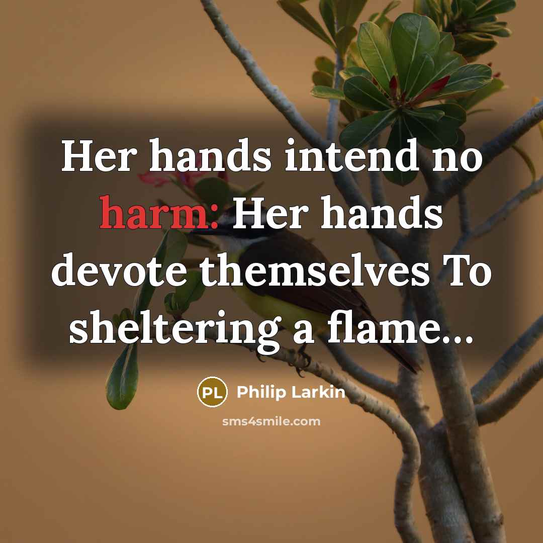 “Her hands intend no harm: Her hands devote themselves To sheltering a flame…” quote by Philip Larkin
