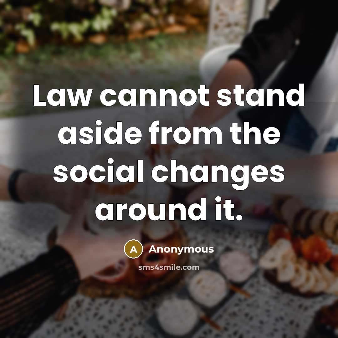 “Law cannot stand aside from the social changes around it.” quote by Anonymous