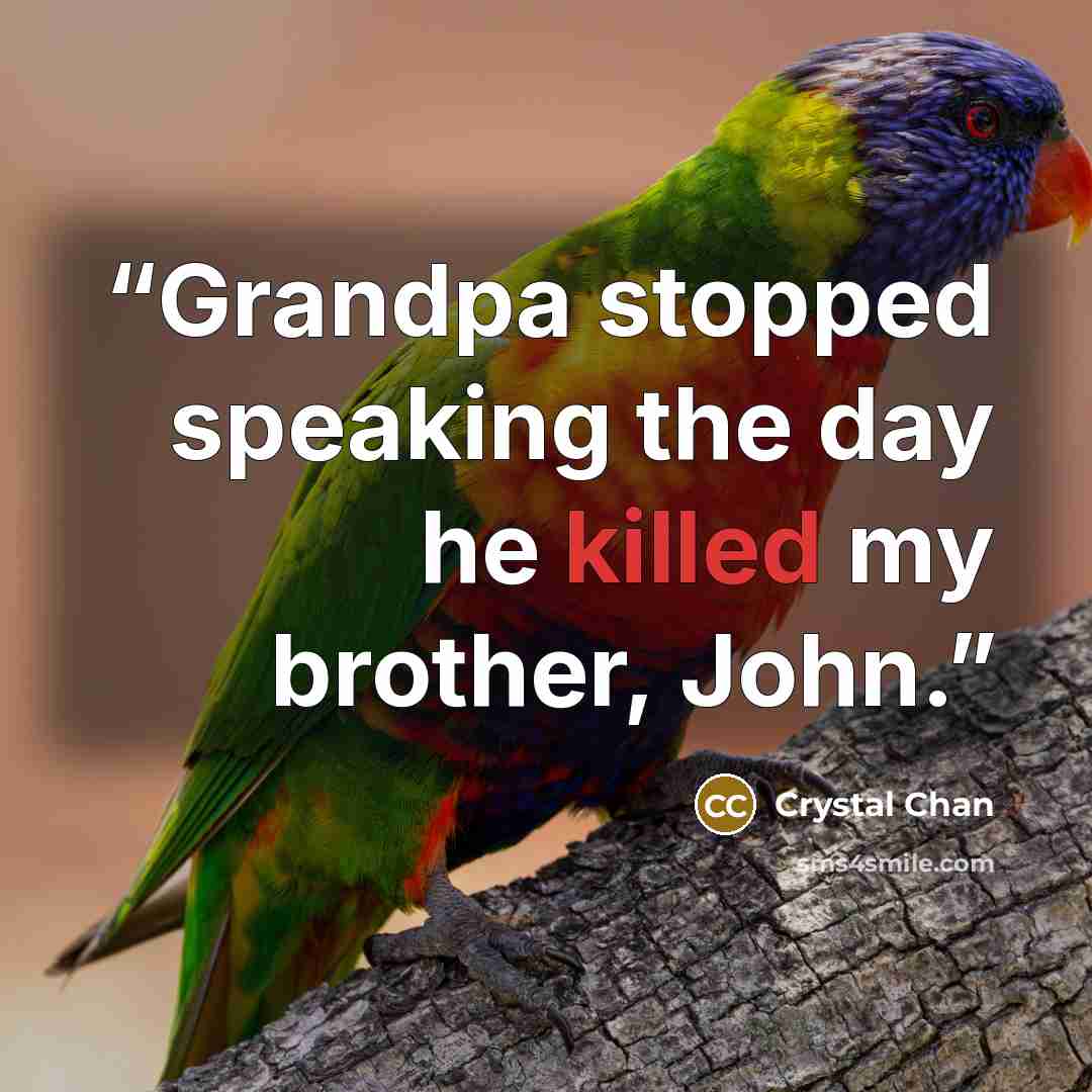 “Grandpa stopped speaking the day he killed my brother, John.” quote by Crystal Chan