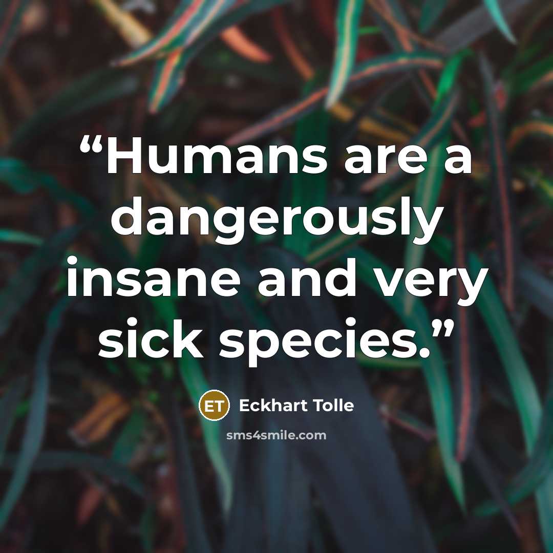 “Humans are a dangerously insane and very sick species.” quote by Eckhart Tolle