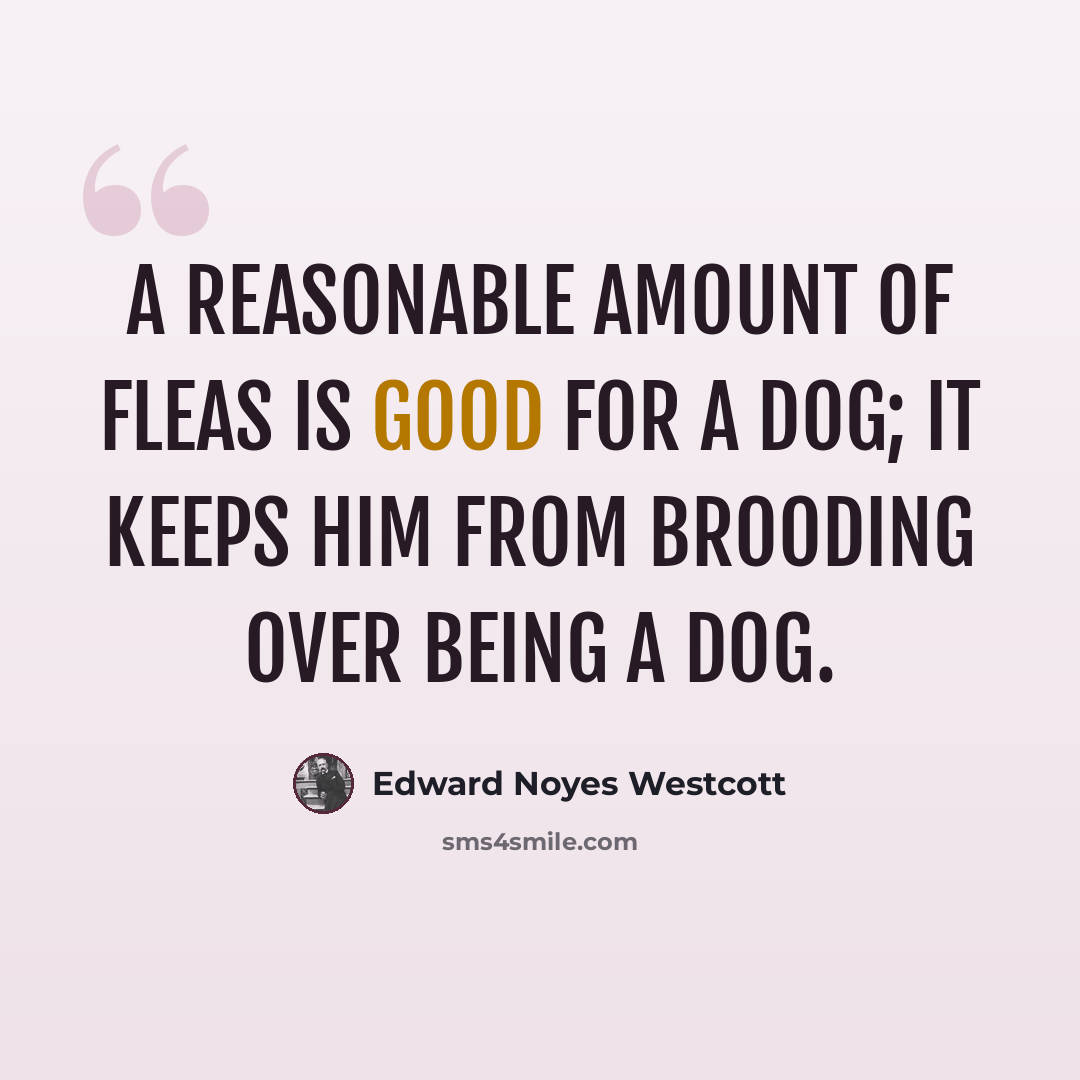 “A reasonable amount of fleas is good for a dog; it keeps him from brooding over being a dog.” quote by Edward Noyes Westcott