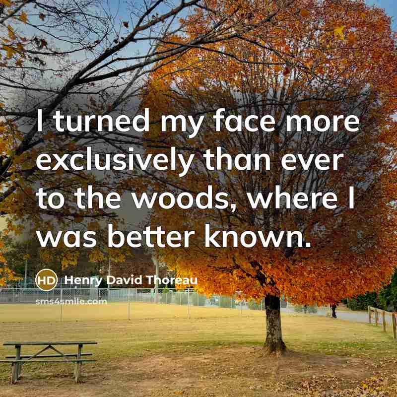 “I turned my face more exclusively than ever to the woods, where I was better known.” quote by Henry David Thoreau