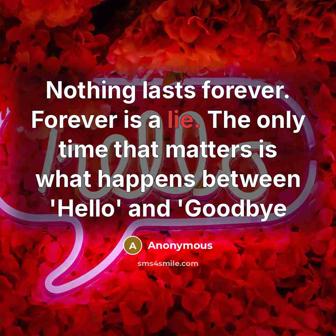 “Nothing lasts forever. Forever is a lie. The only time that matters is what happens between 'Hello' and 'Goodbye” quote by Anonymous