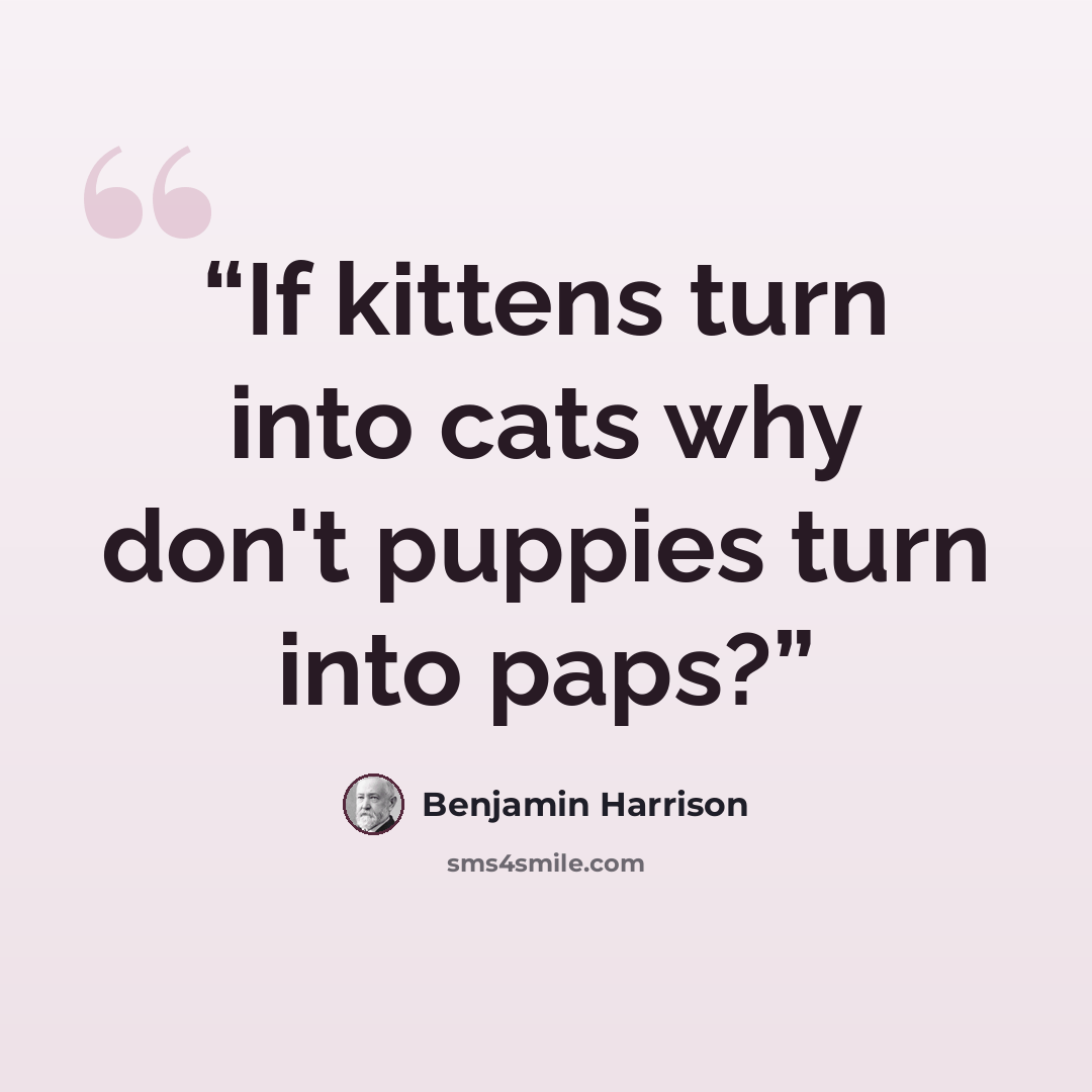 “If kittens turn into cats why don't puppies turn into paps?” quote by Benjamin Harrison