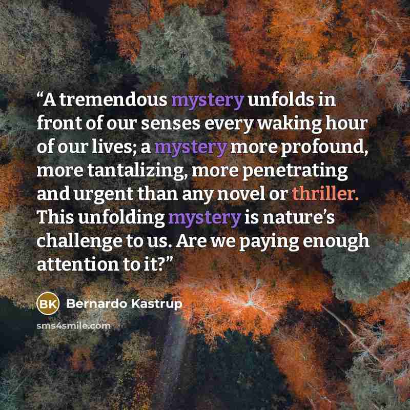 “A tremendous mystery unfolds in front of our senses every waking hour of our lives; a mystery more profound, more tantalizing, more penetrating and urgent than any novel or thriller. This unfolding mystery is nature’s challenge to us. Are we paying enough attention to it?” quote by Bernardo Kastrup