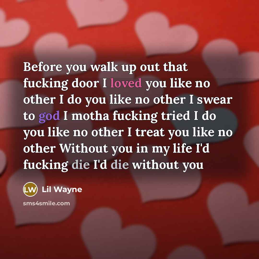“Before you walk up out that fucking door I loved you like no other I do you like no other I swear to god I motha fucking tried I do you like no other I treat you like no other Without you in my life I'd fucking die I'd die without you” quote by Lil Wayne