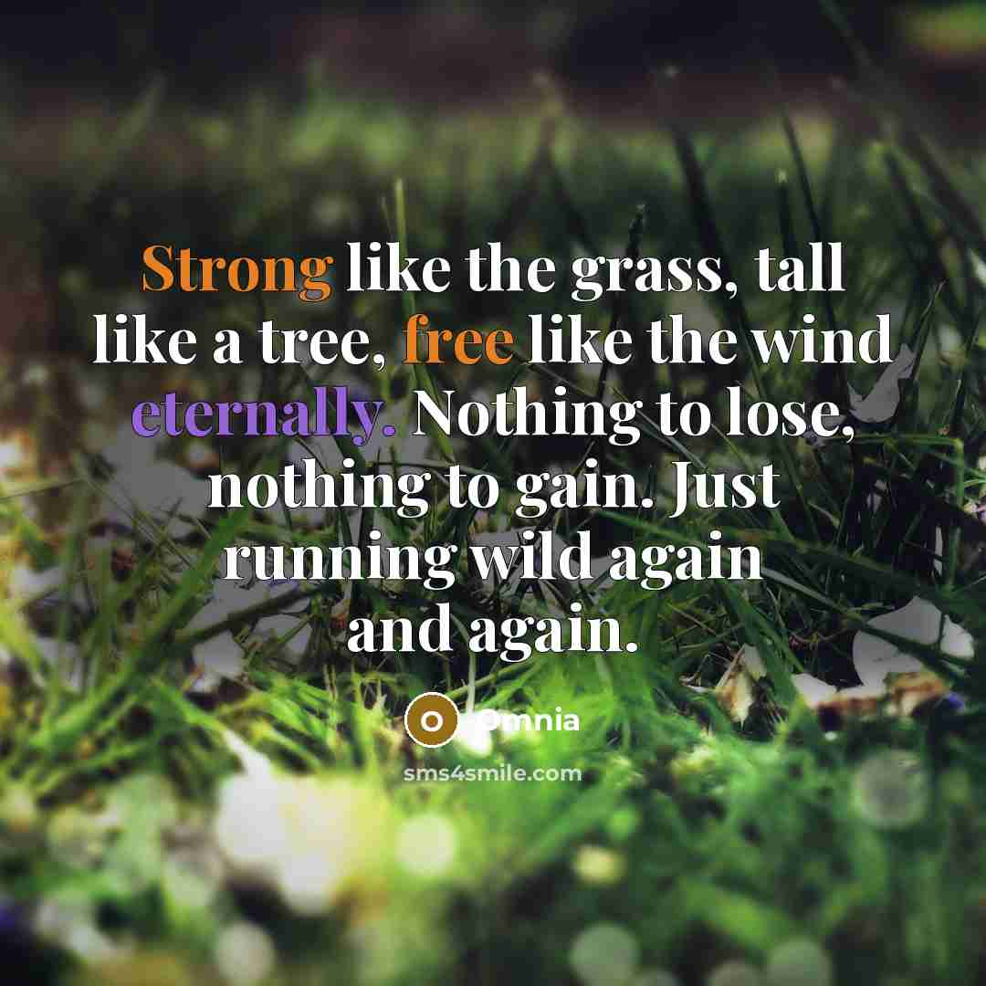 “Strong like the grass, tall like a tree, free like the wind eternally. Nothing to lose, nothing to gain. Just running wild again and again.” quote by Omnia