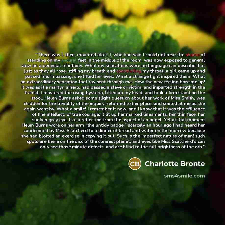 “There was I, then, mounted aloft; I, who had said I could not bear the shame of standing on my natural feet in the middle of the room, was now exposed to general view on a pedestal of infamy. What my sensations were no language can describe; but just as they all rose, stifling my breath and…” quote by Charlotte Brontë
