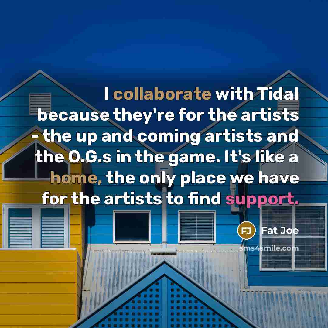 “I collaborate with Tidal because they're for the artists - the up and coming artists and the O.G.s in the game. It's like a home, the only place we have for the artists to find support.” quote by Fat Joe