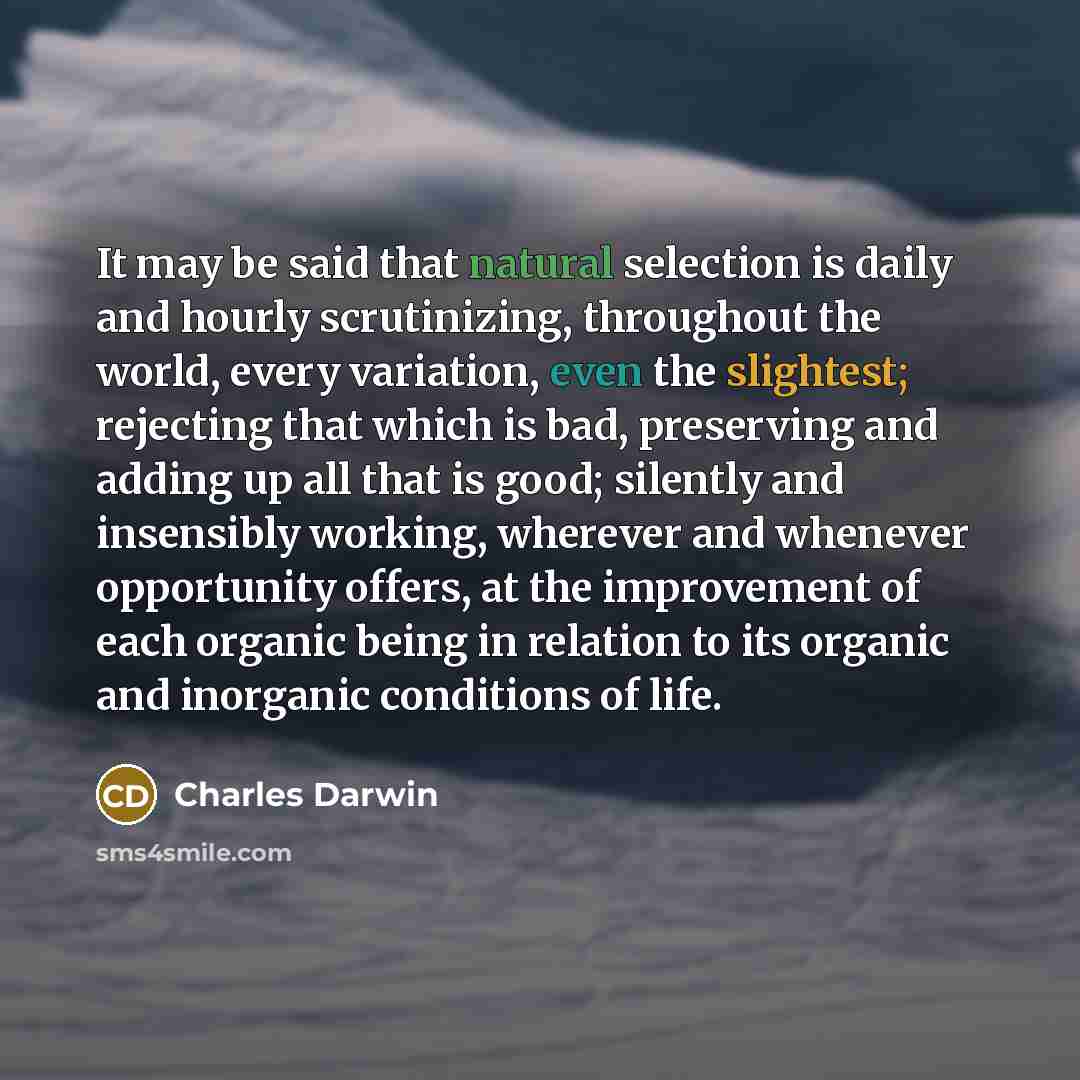 “It may be said that natural selection is daily and hourly scrutinizing, throughout the world, every variation, even the slightest; rejecting that which is bad, preserving and adding up all that is good; silently and insensibly working, wherever and whenever opportunity offers, at the improvement…” quote by Charles Darwin