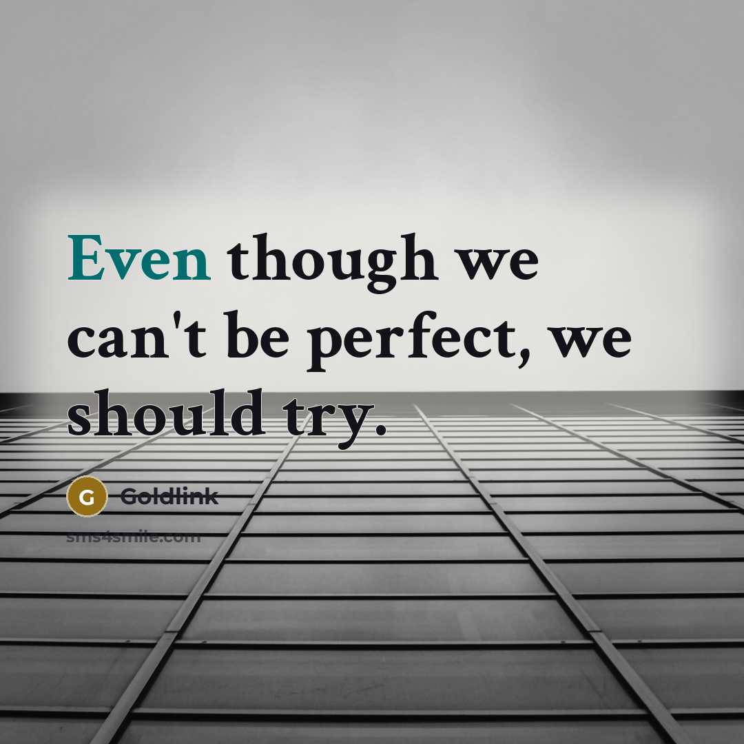 “Even though we can't be perfect, we should try.” quote by Goldlink