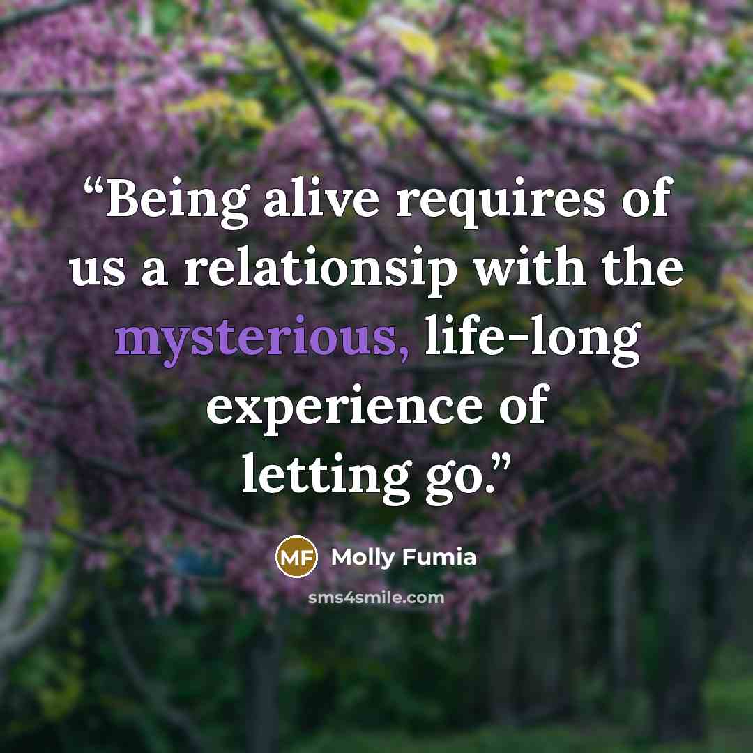 “Being alive requires of us a relationsip with the mysterious, life-long experience of letting go.” quote by Molly Fumia
