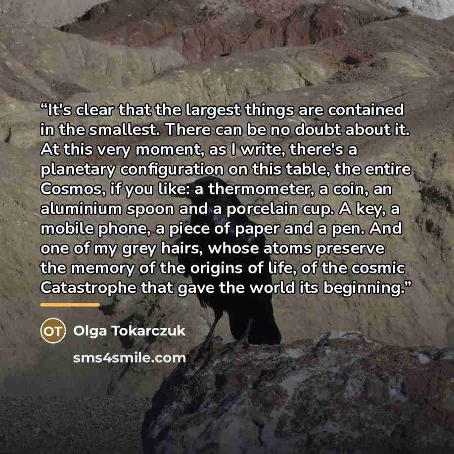 “It's clear that the largest things are contained in the smallest. There can be no doubt about it. At this very moment, as I write, there's a planetary configuration on this table, the entire Cosmos, if you like: a thermometer, a coin, an aluminium spoon and a porcelain cup. A key, a mobile phone…” quote by Olga Tokarczuk