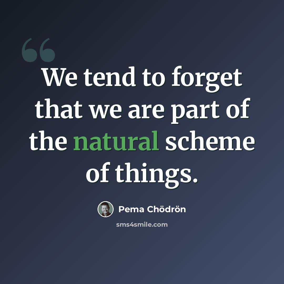 “We tend to forget that we are part of the natural scheme of things.” quote by Pema Chodron