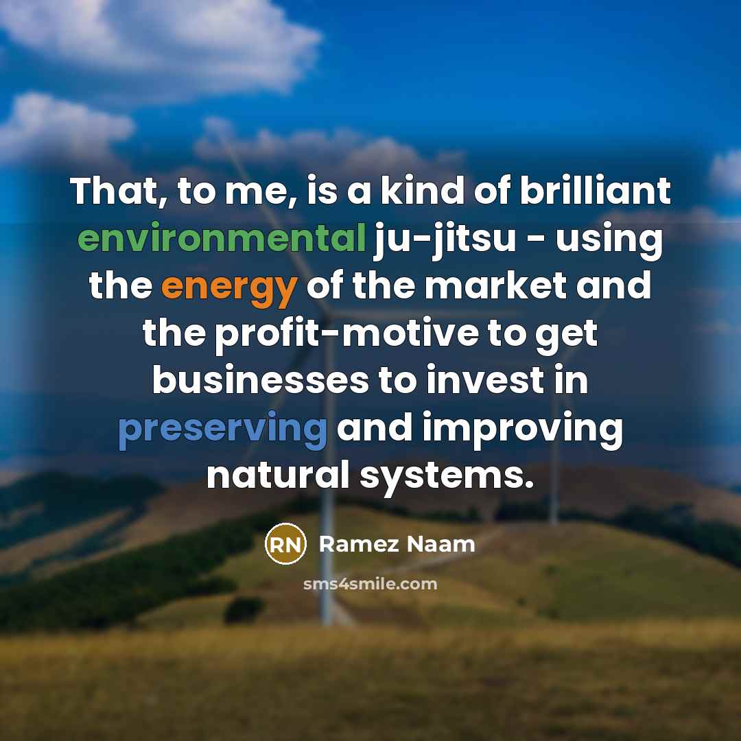 “That, to me, is a kind of brilliant environmental ju-jitsu - using the energy of the market and the profit-motive to get businesses to invest in preserving and improving natural systems.” quote by Ramez Naam