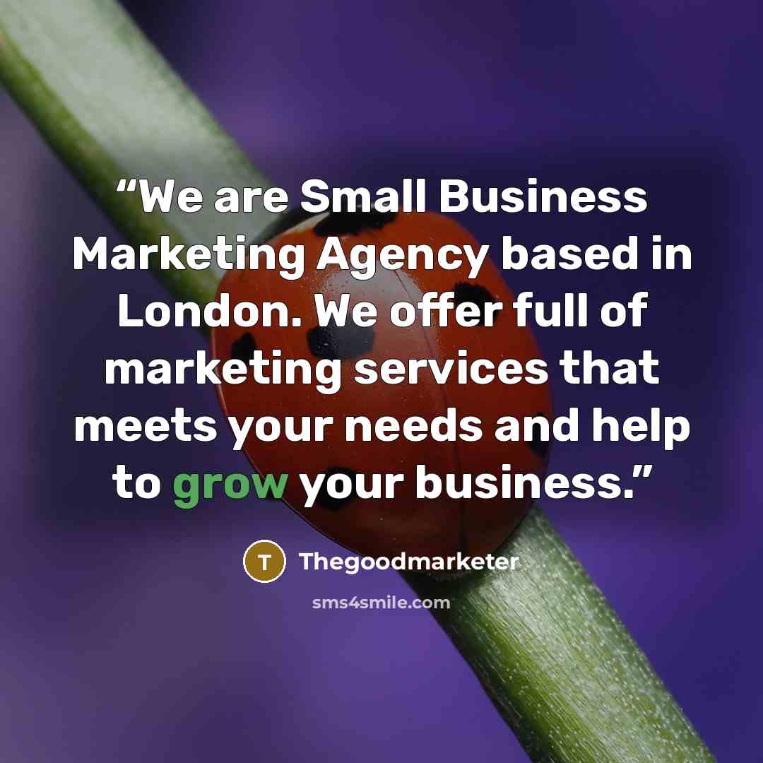 “We are Small Business Marketing Agency based in London. We offer full of marketing services that meets your needs and help to grow your business.” quote by Thegoodmarketer