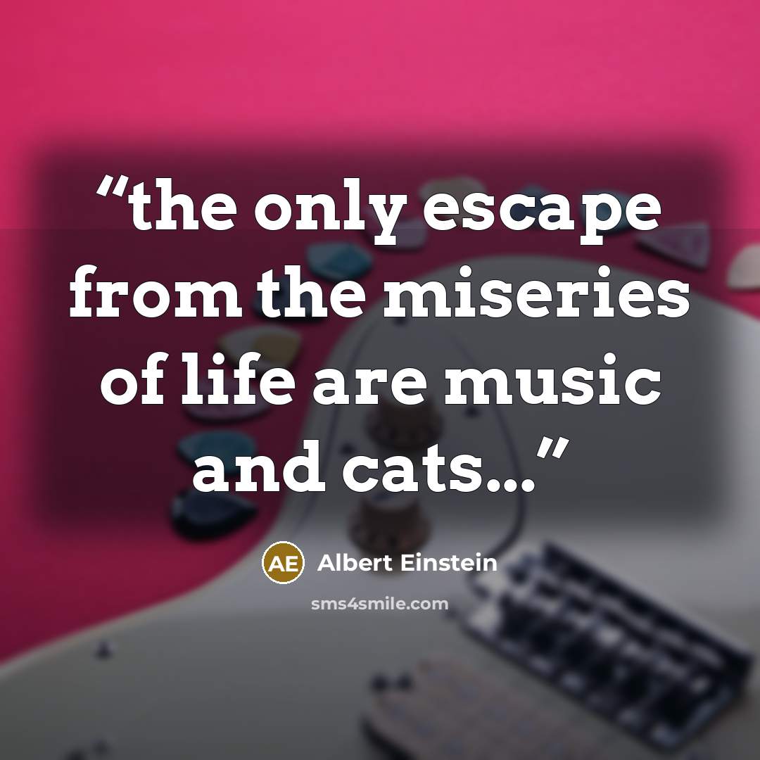 “the only escape from the miseries of life are music and cats...” quote by Albert Einstein