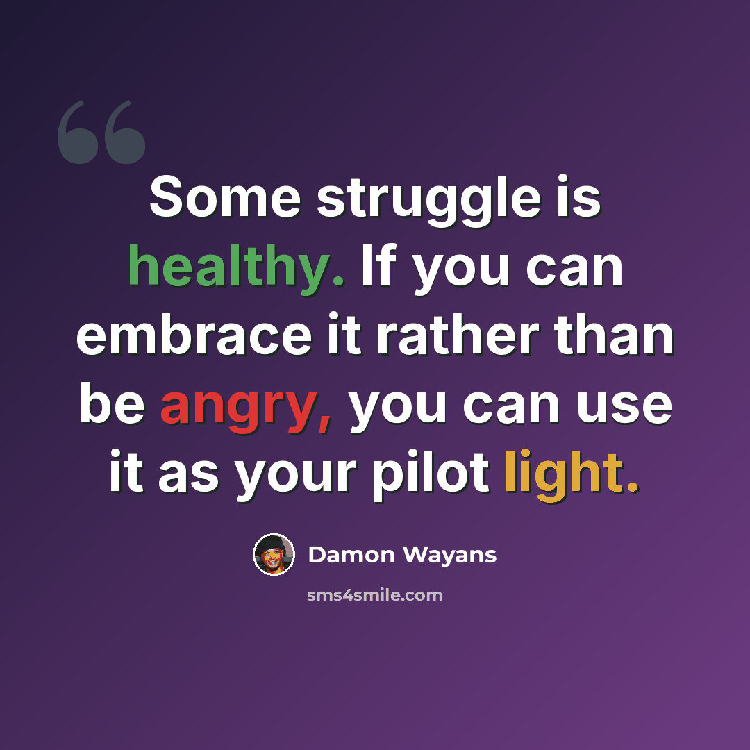 “Some struggle is healthy. If you can embrace it rather than be angry, you can use it as your pilot light.” quote by Damon Wayans